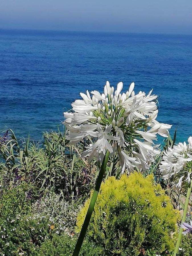 Ikaria Village Maisonette 10 Klorakas Exterior photo